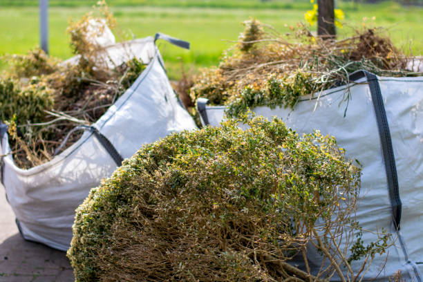 Best Residential Junk Removal  in Thatcher, UT
