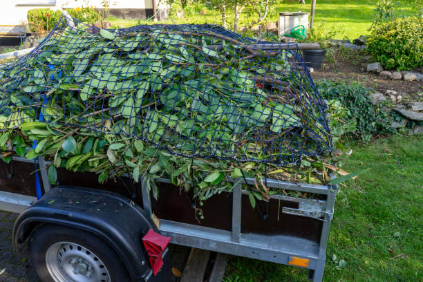 Best Recycling Services for Junk  in Thatcher, UT